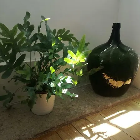 Casa De Guadalupe Quarto em Acomodações Particulares