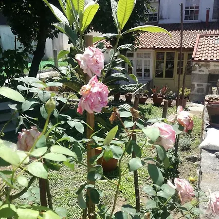 Casa De Guadalupe Habitación en casa particular