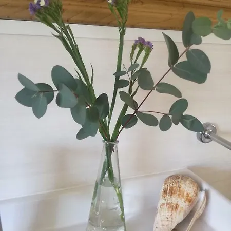 Quarto em Acomodações Particulares Casa De Guadalupe