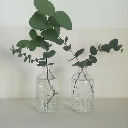 Casa De Guadalupe Quarto em Acomodações Particulares