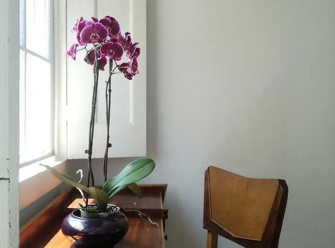 Kwatera prywatna Casa De Guadalupe Braga