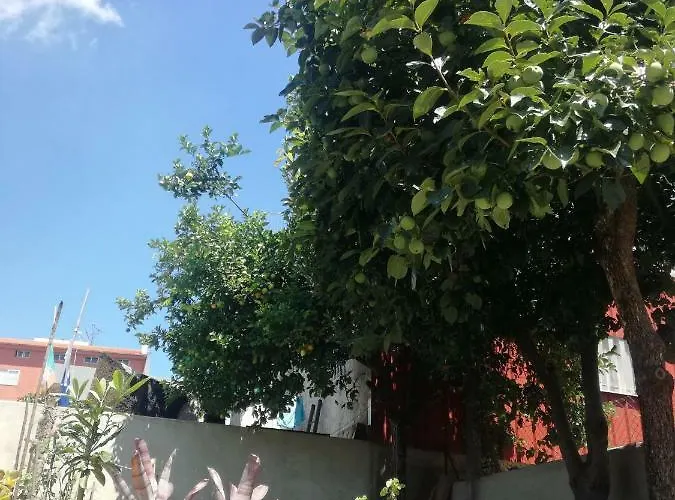 Rum i privatbostad Casa De Guadalupe