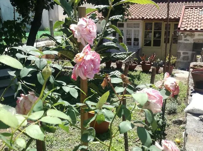 Casa De Guadalupe Rum i privatbostad