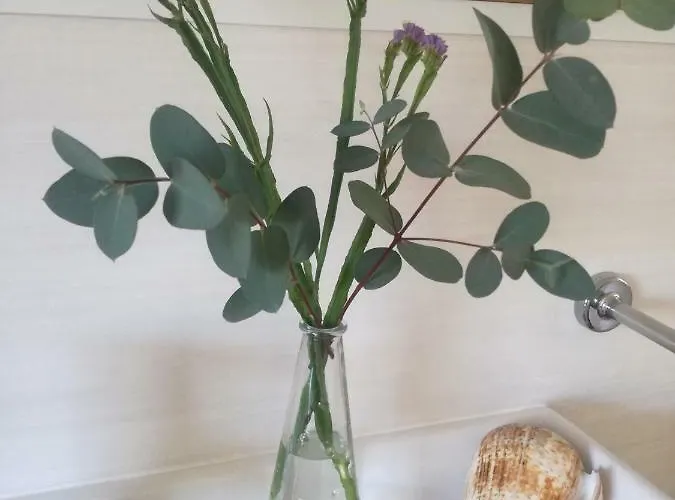 Kwatera prywatna Casa De Guadalupe