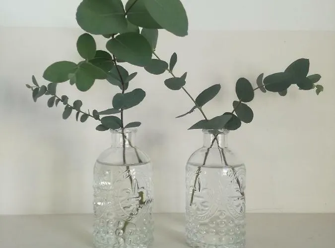 Casa De Guadalupe Rum i privatbostad